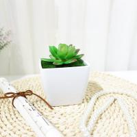 uploads/erp/collection/images/Home Garden/CongDing/XU0612428/img_b/XU0612428_img_b_5